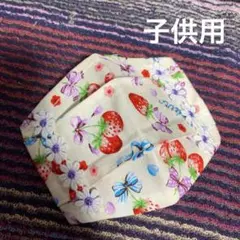 ハンドメイド　マスクカバー　幼児用　子供用　不織布マスクが見えるおしゃれカバー