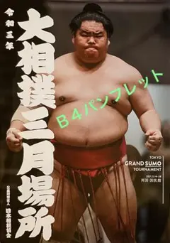2026年最新】平幕との人気アイテム - メルカリ