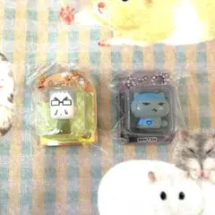 もちにゃみ パッケージminiフィギュアマスコット れんたん 万太郎