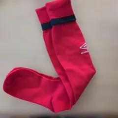 Item thumbnail for item 45149c8f-2d0b-4cc2-8c77-6794ee788c88