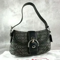 保存袋付き！COACH 10602 SOHOコーチソーホーワンショルダーバッグ 
