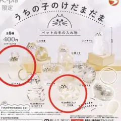 【即発】うちの子のけだまだま サビ猫 #C-pla限定アソート　シャム猫