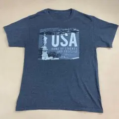 Champion Tシャツ USA ニューヨーク 自由の女神 グレー