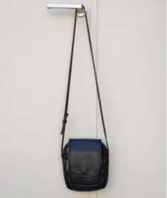 Item thumbnail for item 43e6c282-f968-4486-9738-3146507621cb