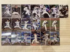 プロ野球チップス2025　第1弾　第2弾　千葉ロッテマリーンズ　19枚セット