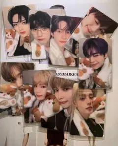 theboyz 中国 青島 一直娱 yizhiyu 特典 トレカ 11枚セット theboyz 中国 青島 一直娱 yizhiyu 特典 トレカ 11枚セット