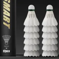 Item thumbnail for item e66c879c-f709-4d94-a893-a7293a61db36