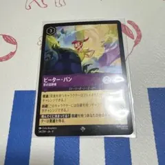 2026年最新】ロルカナ引退品の人気アイテム - メルカリ