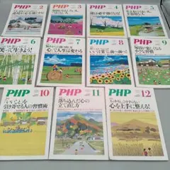 Item thumbnail for item 9da3bcce-6aa2-406c-bada-76b049d15310