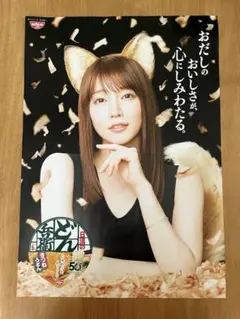 孤*M様 吉岡里帆 日清どん兵衛 ポスター 2枚 - メルカリ