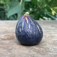 2026年最新】いちじく 穂木の人気アイテム - メルカリ