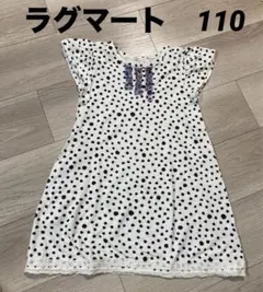 Item thumbnail for item 2559c44d-384d-4b65-bdde-89264eb054f1