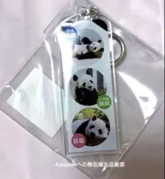 3頭集合 王子動物園 タンタン 初代・二代目コウコウ 石碑キーホルダー