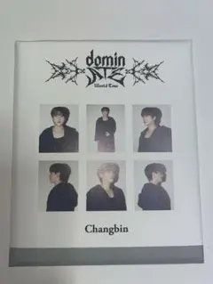 straykids チャンビン インスタントフォト