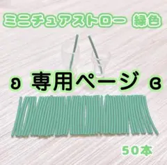 mickey様 リクエスト 2点 まとめ商品
