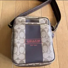COACH ショルダーバッグ ベージュ/ブラウン ストライプのサムネイル