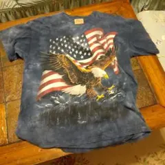 Item thumbnail for item 7955a169-eb7d-435e-8ba4-a642b1e09707