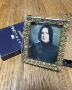 【新品】肖像画マグネットコレクション ハリーポッター セブルス・スネイプ先生のサムネイル