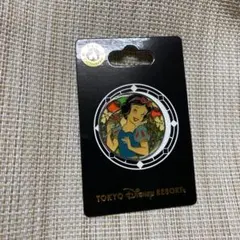 2025年最新】東京ディズニーリゾート ピンズ・ピンバッジ・缶バッジの