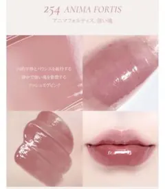 dinto ブラーグロイティントミニ254のサムネイル