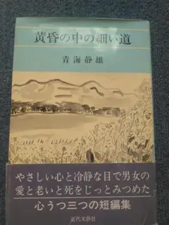 青海静雄 黄昏の中の細い道