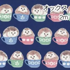 ラスト3点 2m ハリネズミ ネイビー オックス