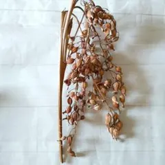 にゃん様 リクエスト 2点 まとめ商品