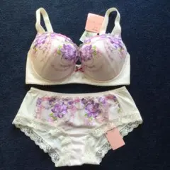 2025年最新】ワコールシャキッとブラの人気アイテム - メルカリ