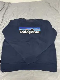 patagonia パタゴニア トレーナー スウェット regular fit
