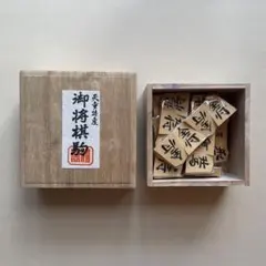 [텐도 명물] 고쇼기 손으로 조각한 쇼기 세트