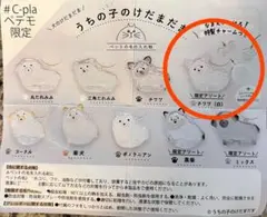 うちの子のけだまだま チワワ（白）