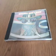 【CD】Invisible Man's Band / Really Wanna〜