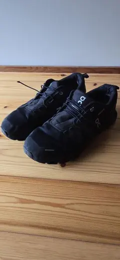 On Cloud 5 Waterproof 29cm