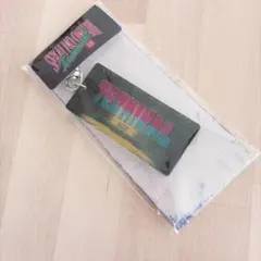 SEKAI NO OWARI セカオワ TERMINAL ターミナルキーホルダー
