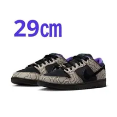 NIKE SB DUNK LOW PRO × DASHAWN JORDAN 29