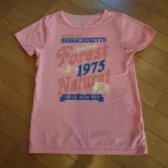 Item thumbnail for item f75f7877-c939-4190-97f7-1f65eed7bd5d