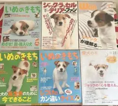 ジャックラッセルテリア表紙の雑誌　6冊セット