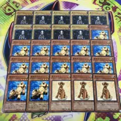16890 迷犬マロン 機械犬マロン 骨犬マロン 計25枚 ノーマル