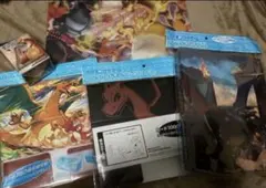 ポケモン リザードン ロングカードボックス　デッキ　コレクションファイル