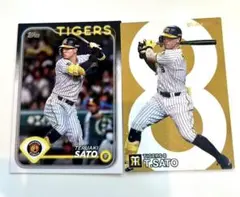 Item thumbnail for item dcc6cff4-f04f-4dbb-8ac0-63ca165b097d