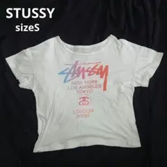STUSSY ステューシー　tシャツ　白　ビッグロゴ　SSリンクロゴ　Sサイズ