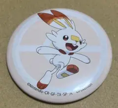 ポケットモンスター　缶バッジ　コレクション