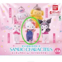 サンリオキャラクターズ ミニチュアチャーム～ライブキャラクター～