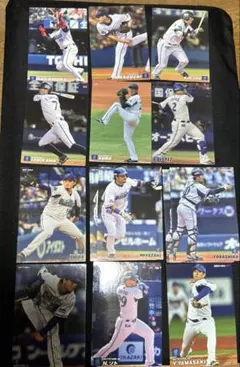 横浜DeNAベイスターズ プロ野球チップス カード14枚セット