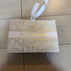 CHRISTIAN DIOR ショップ袋 ゴールド装飾