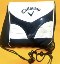 Item thumbnail for item 0ea563f8-c61b-46cd-a65e-0ef87a61a713