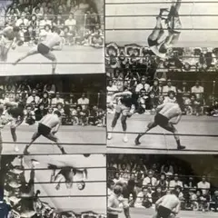 Old Stussy モハメドアリ選手 Lサイズ シングルステッチ Old Stussy モハメドアリ選手 Lサイズ シングルステッチ Old