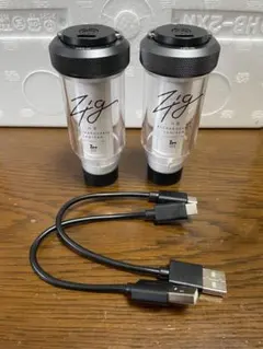 ZANE ARTS ジグ 2本セット ZIG ゼインアーツ　初回生産シール貼済のサムネイル