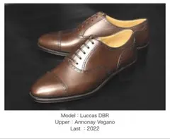 Raymar Lucas ７1/2のサムネイル