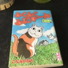 Item thumbnail for item 91ee4b2f-0c17-4e4d-a957-32d1744c82f9